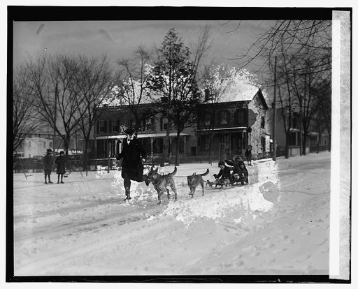 R.L. Scaggs & police dogs, 1/11/26