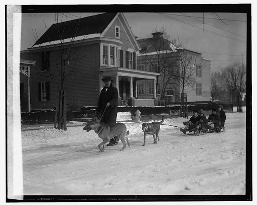 R.L. Scaggs & police dogs, [1/11/26