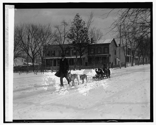 R.L. Scaggs with police dogs, 1/11/26