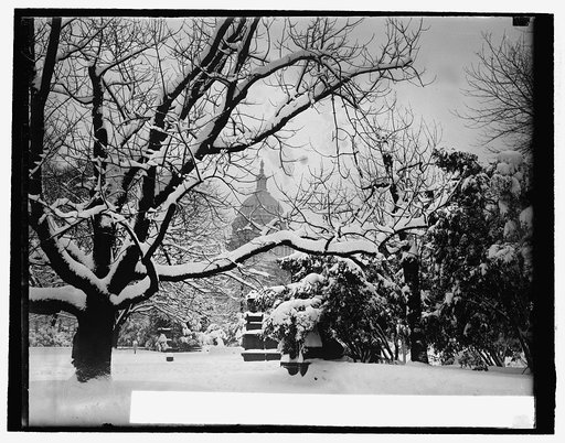 U.S. Capitol, 2/10/26