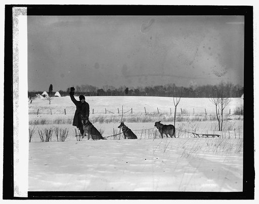 Mrs. E.G. Oberlin & dogs, 2/12/26