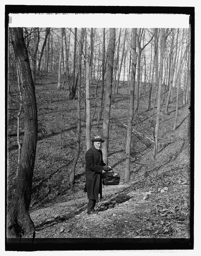Dr. Walter Hough of Smithsonian in arrowhead quarry (Rock Creek Park), 3/6/26