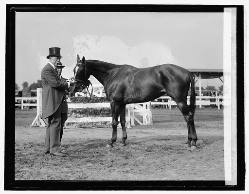 Col. Robt. M. Thompson with Wm. J. Donovan's horse, 5/13/26