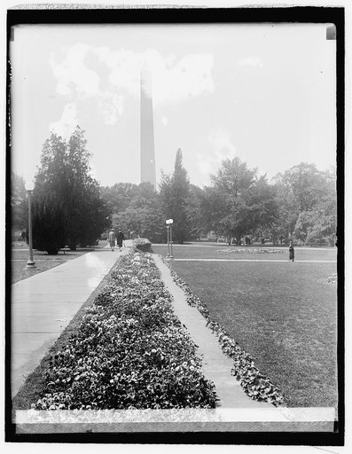 Pansy beds, Ag. Dept., [5/17/26