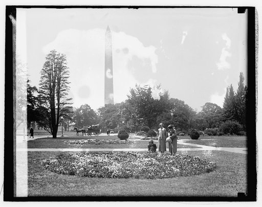 Pansy beds, Ag. Dept., 5/17/[26