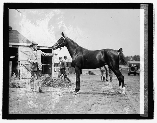 Howard Brady with "My Maryland," 5/15/26