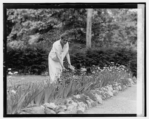 Mrs. Harry New, 7/26/28