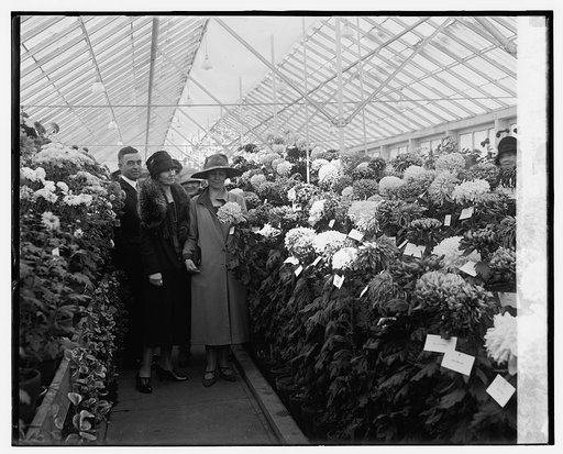 Mrs. Jardine & Mrs. Coolidge at Chrysanthemum Show, 11/3/26