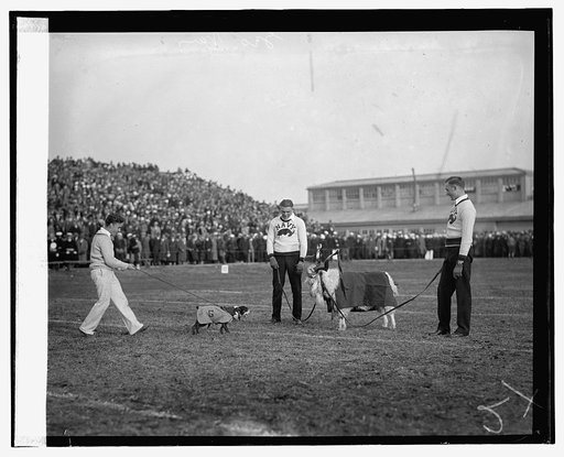 G.U. Navy, 1926, 11/13/26