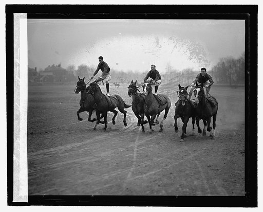 Fort Myer horse stunts