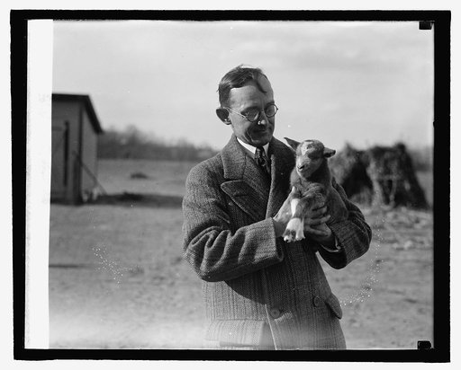 H.E.F. & lamb, Herbert E. French, photographer