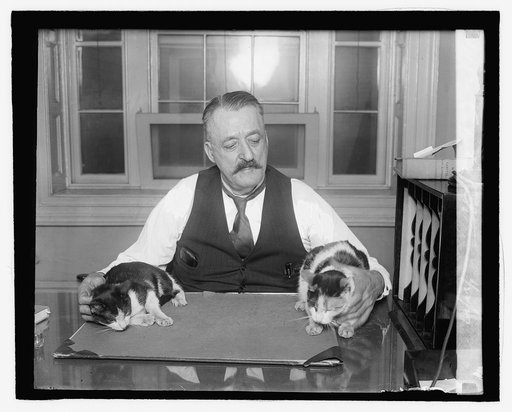 Capitol Cats, 1/22/27