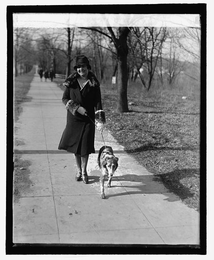 Madam Prochnik, 2/15/27
