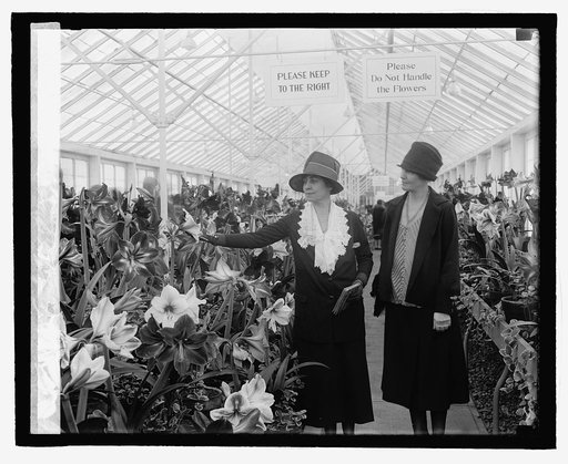 Mrs. Coolidge & Mrs. Jardine at Amaryllis show, 3/9/27