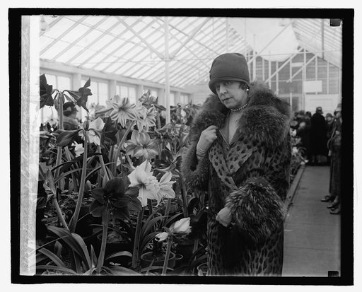 Baroness de Cartier de Marchienne at the Amaryllis show, 3/9/27