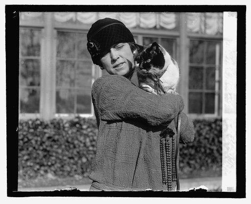 Mrs. M.K. Metcalf, Cat Show, 2/1/27