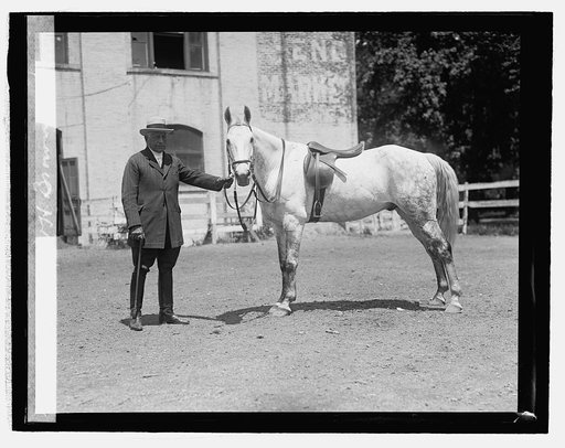 Admil. W.H. Brownson