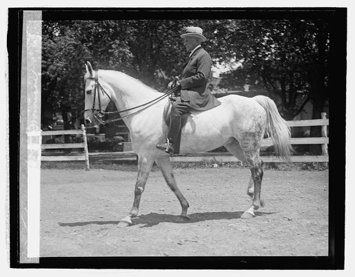 Admil. W.H. Brownson