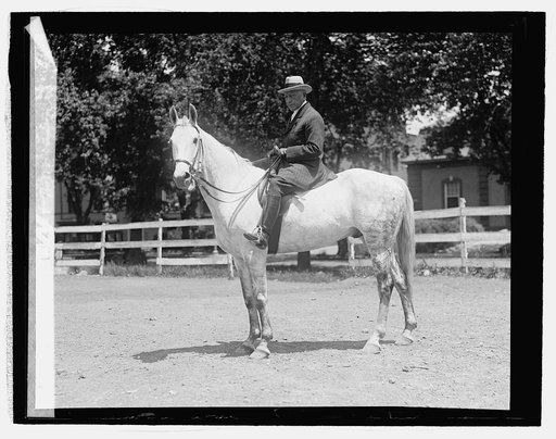 Admil. W.H. Brownson