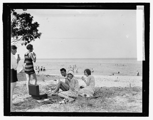 Plum Point