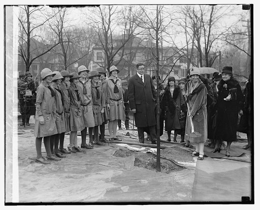 Mrs. Coolidge plants a tree, 2/28/29