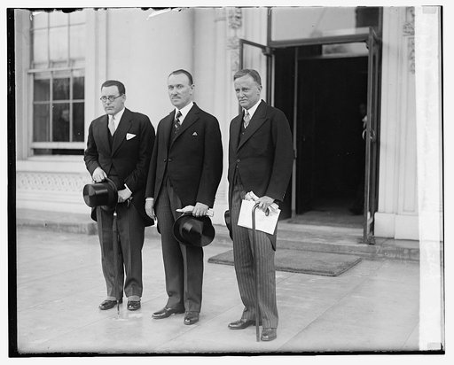 Wm. J.B. MacCauley, Michael MacWhite, Wm. R. Castle, Jr., 3/14/29