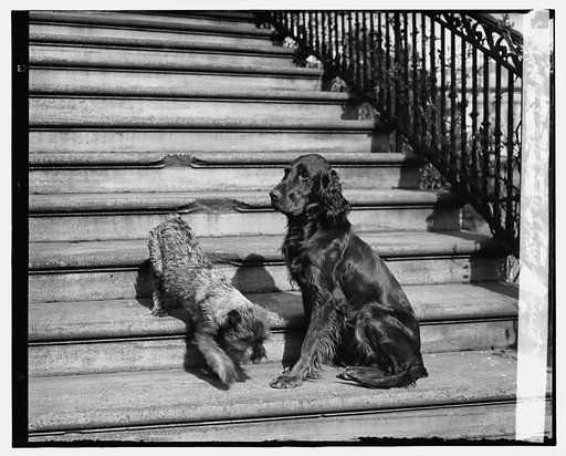 Whoopee & Englehurst, 3/29/29