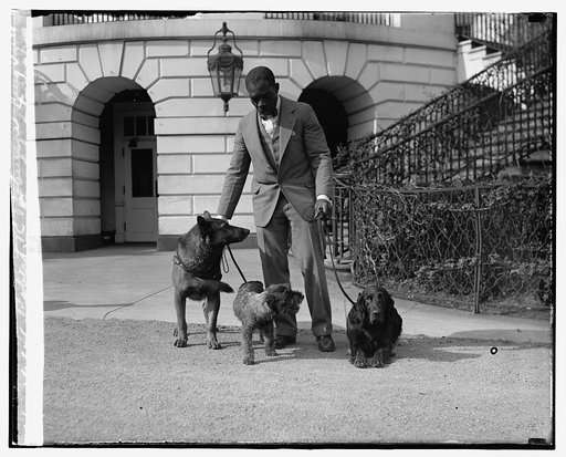 Robert R. Robinson, King Tutt, Whoopie, & Englehurst, 3/29/29