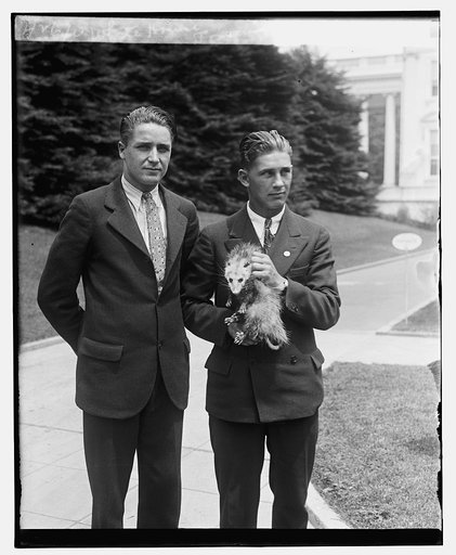 White House possum, 5/25/29