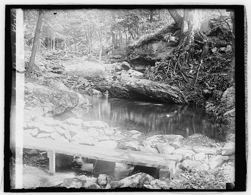 Hoover camp on Rapidan, 8/17/29
