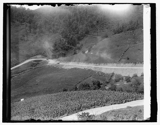 Hoover camp on the Rapidan, 8/17/29