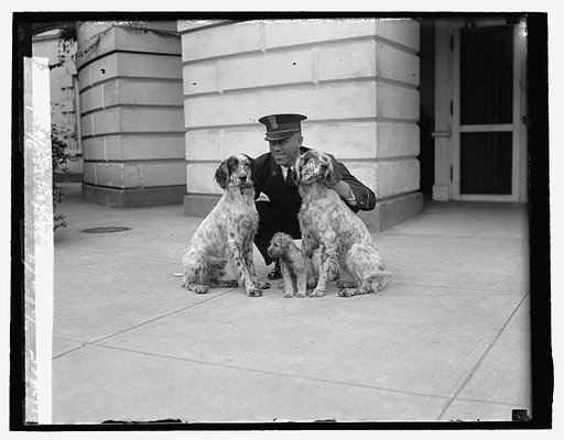 White House dogs, 9/23/26