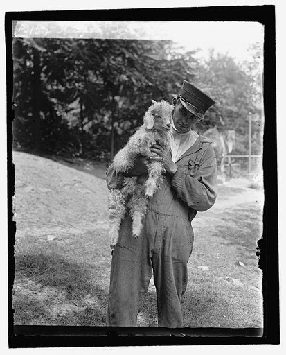 Stinson Goat "Billy the Kid," 6/18/29