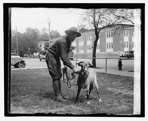 Wm. Harrison Bones, Stinson Goat, 9/5/29