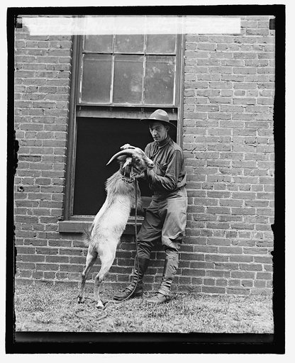 Wm. Harrison Bones, Stinson Goat, 9/5/29