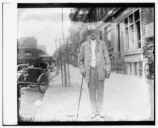 Confederate veteran reunion, 1917