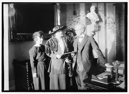 Mrs. Thos. D. Schall, Mrs. Eugene Drendome & Vice Pres. delivering the electorial vote of Minn., 1/24/21