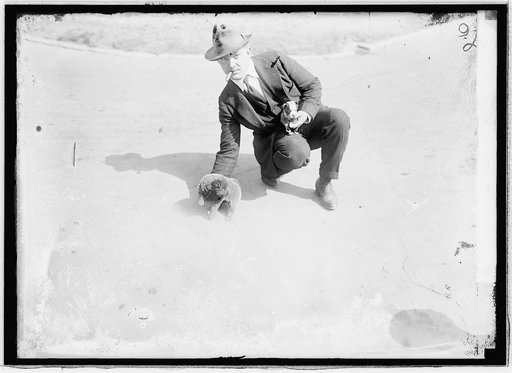 Unidentified man with puppies], 3/9/21
