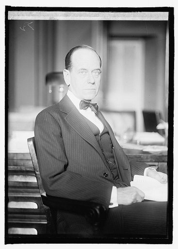 Senator Medill McCormick