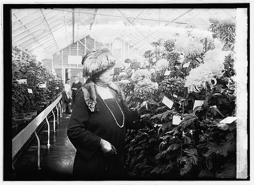 Mrs. Wallace at Mum show, [10/28/22