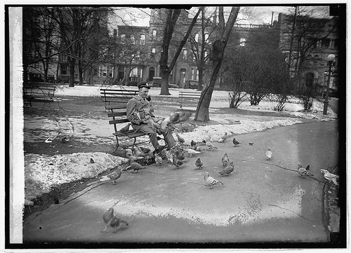 Letter carrier feeding pigeons