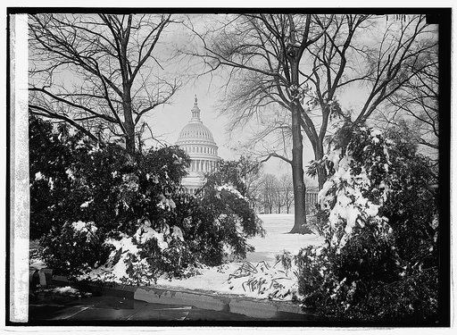 Capitol
