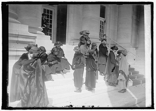 D.A.R. delegates