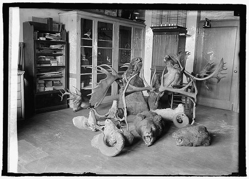 White House, 5/5/23