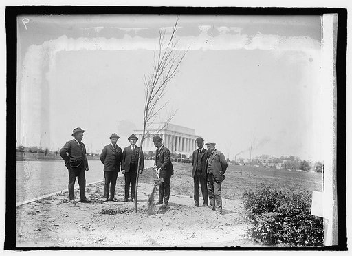 Massachusetts Society tree planting, [5/4/23