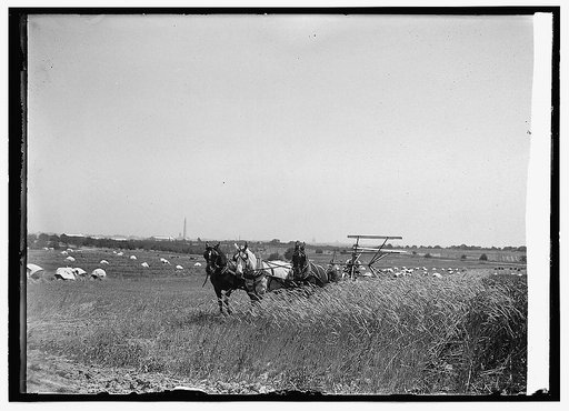 Arlington experimental state, 6/27/23
