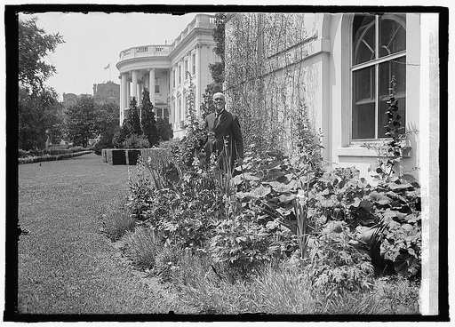 Mrs. Harding's garden