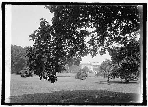 White House