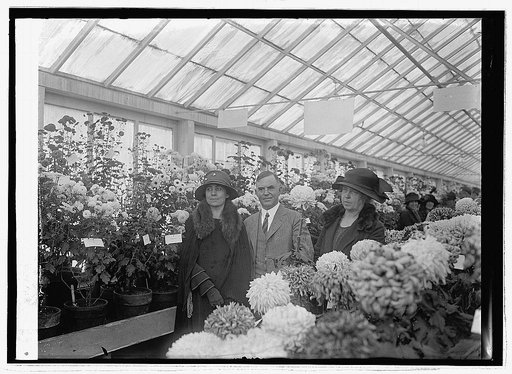 Mrs. Coolidge, Wallace, Mrs. W., Crysanthemum show, 10/30/26, [i.e., 10/30/23