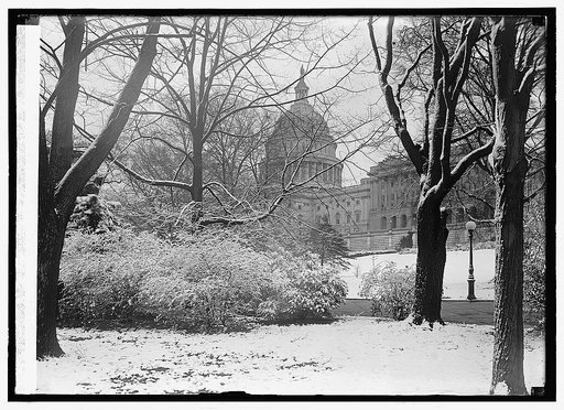 U.S. Capitol, [Washington, D.C.], 12/14/23
